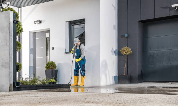 Best Spring Cleaning  in Vero Lake Estates, FL